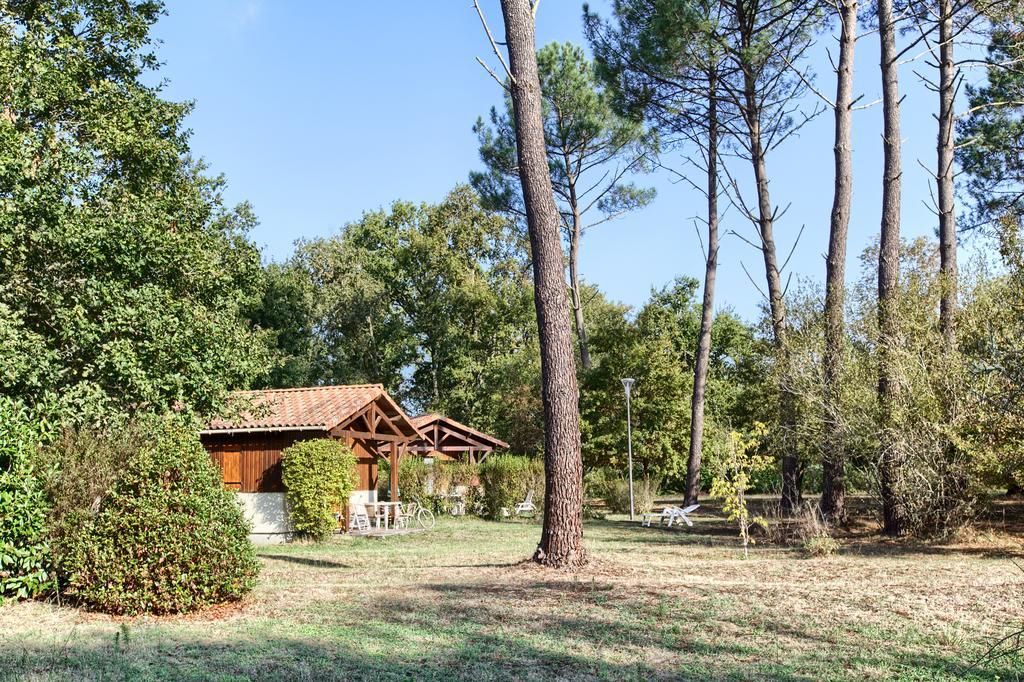 Les Chalets Du Gelat, Nature Et Calme Noaillan 外观 照片